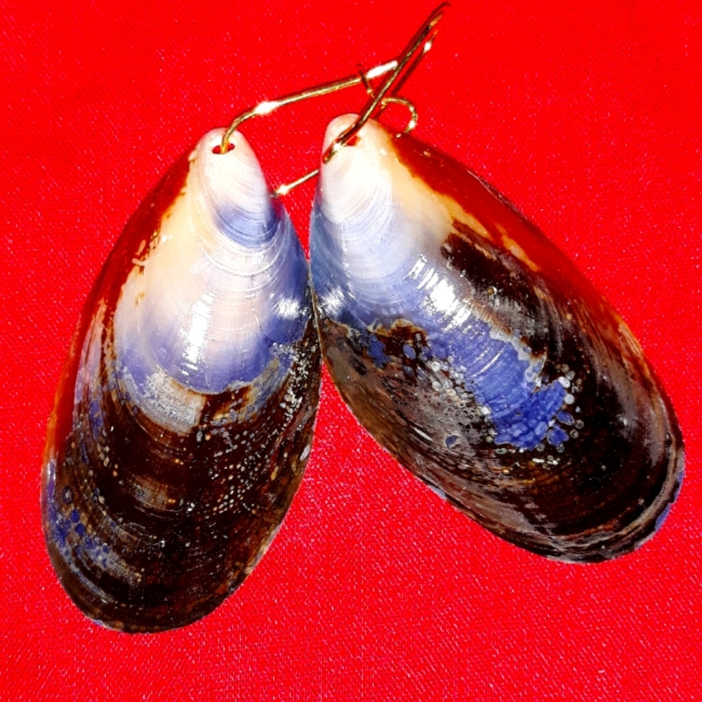 Hand made earrings